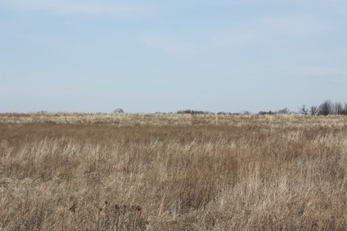 Property photo 17 - 194.67 Acres Offered in 2 Tracts
